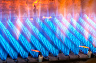 Bhatarsaigh gas fired boilers